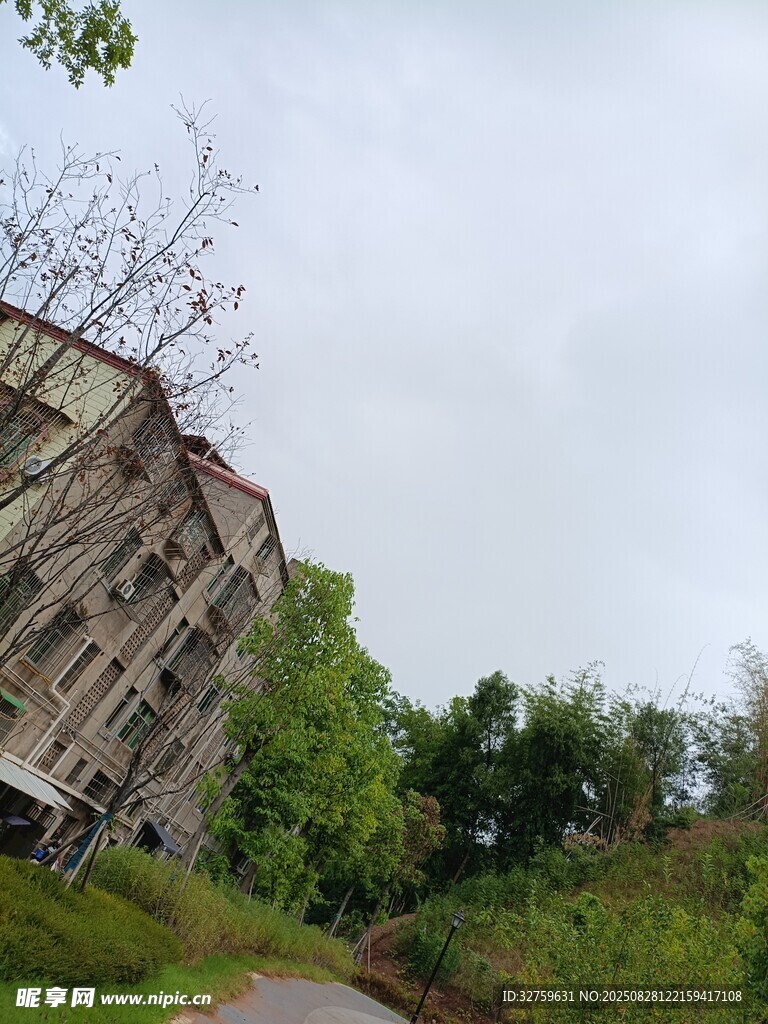 废弃建筑隐于葱郁草木间
