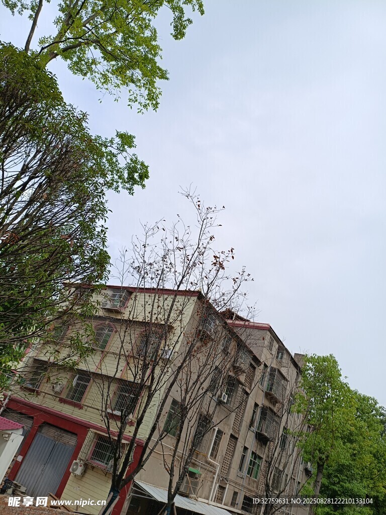 老旧居民楼与周边绿植