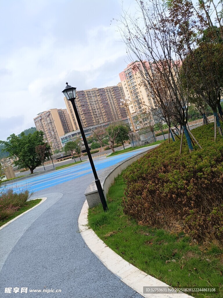 小区中蜿蜒的景观小路