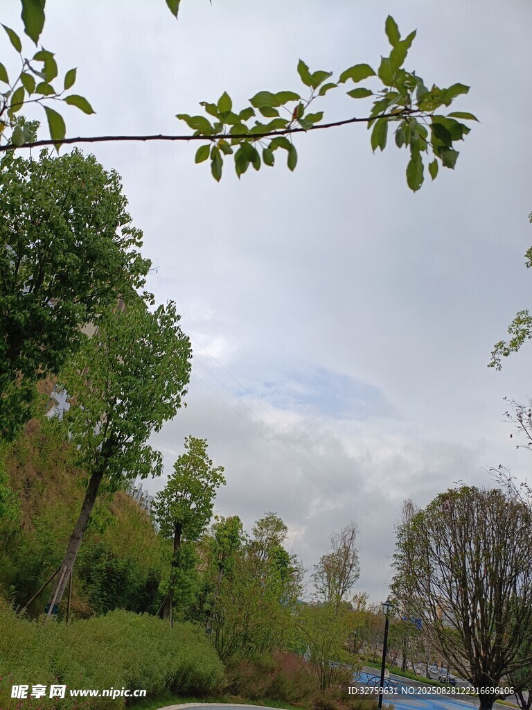 郊外绿意盎然的自然景致