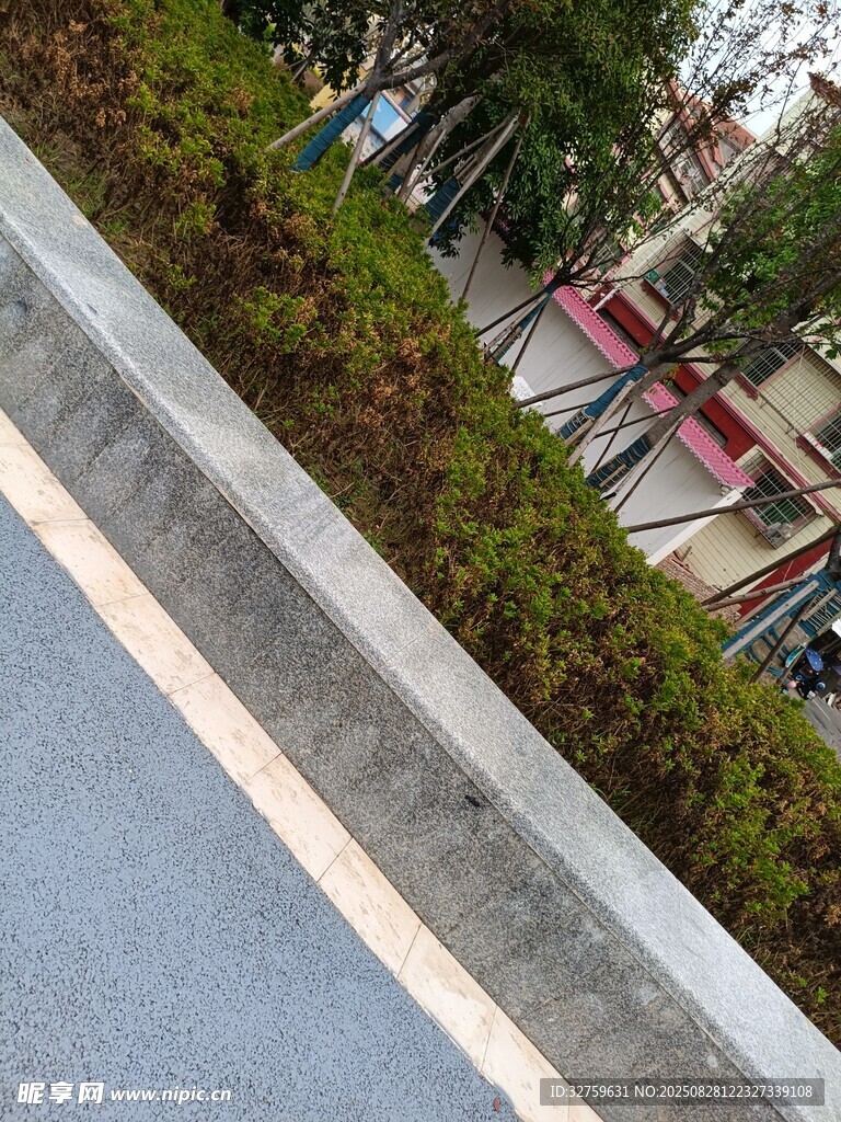 路边绿植景观