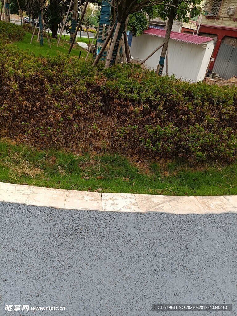 路边绿植景观