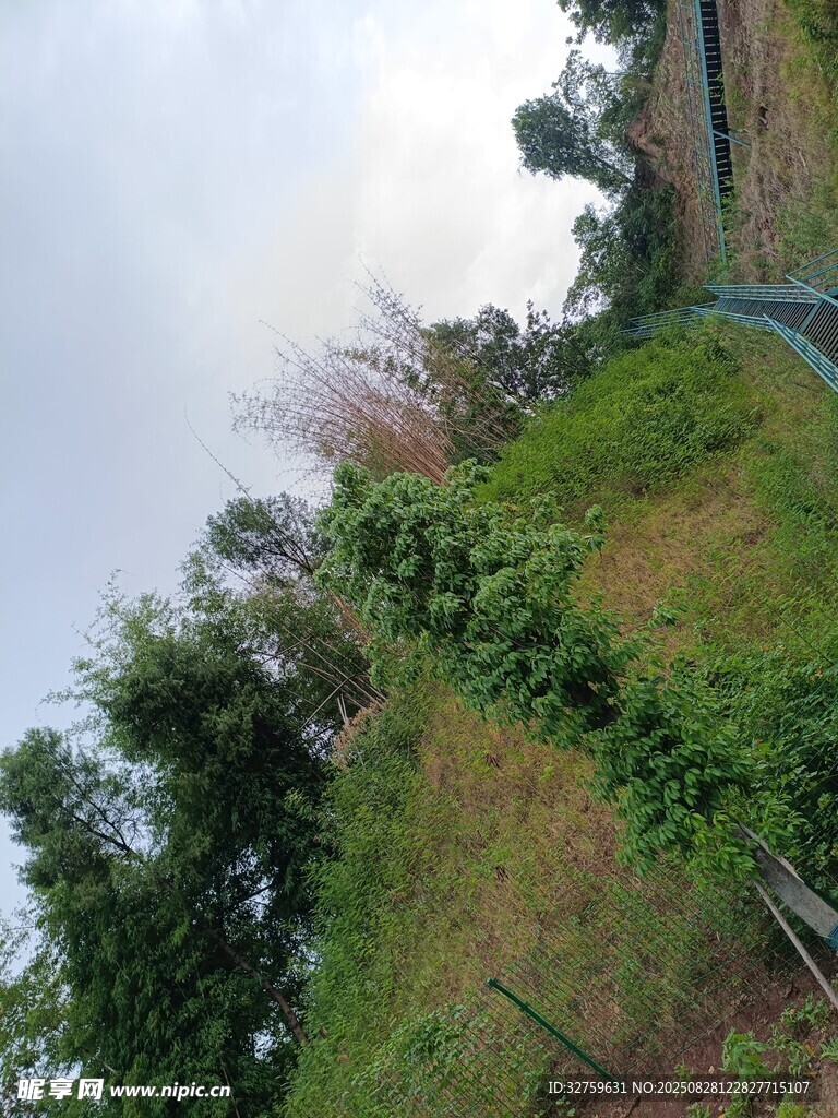 山坡绿植景观