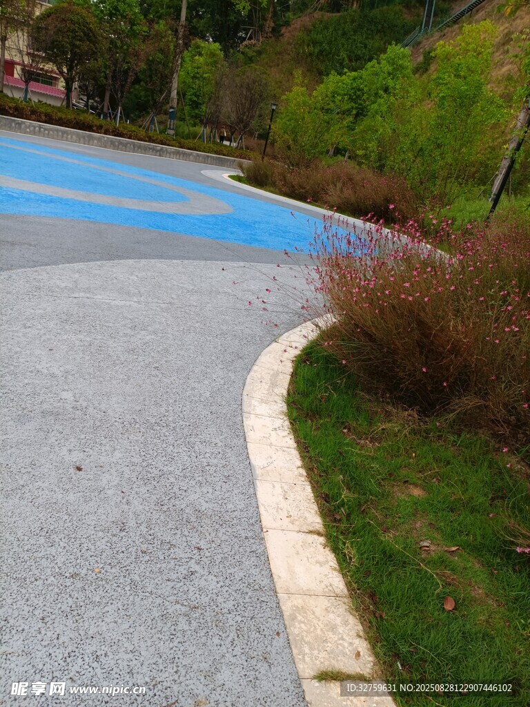 蓝色步道旁的绿植景观