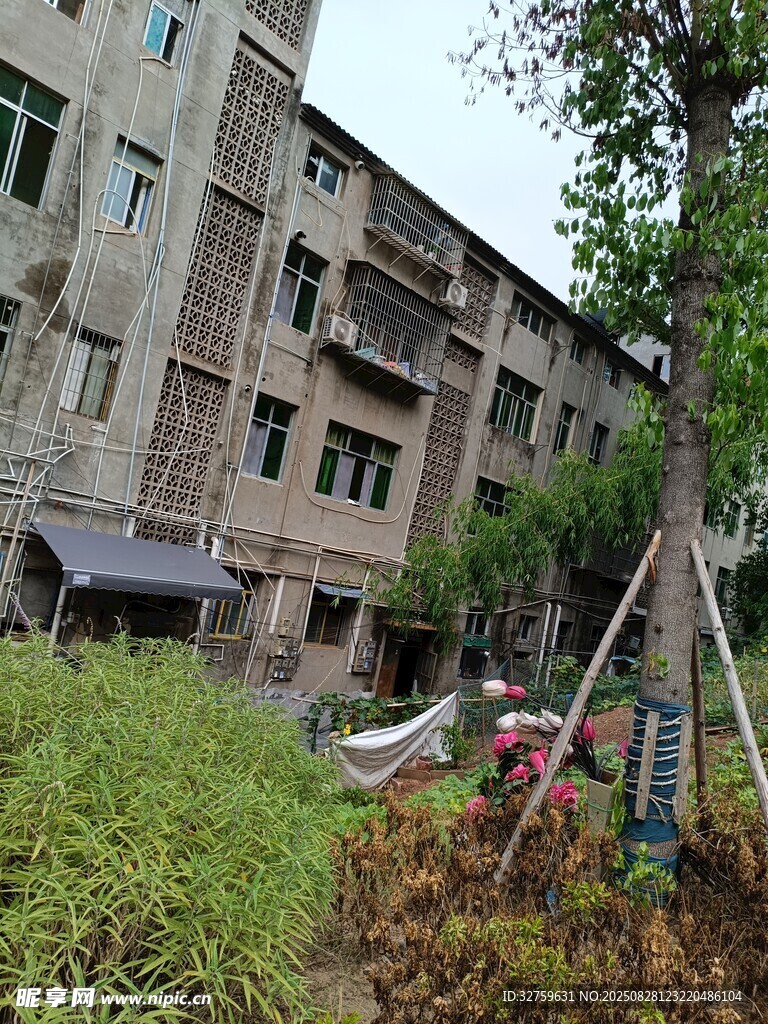 老旧居民楼旁的绿植景观