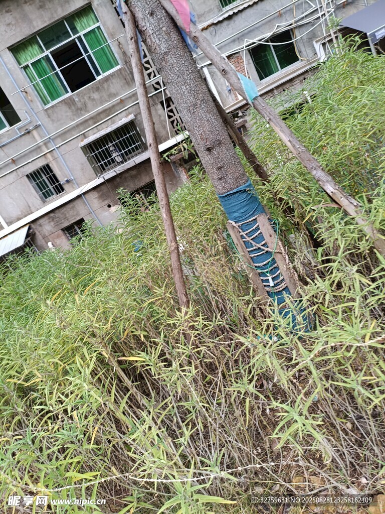 老旧房屋旁的杂草与管道