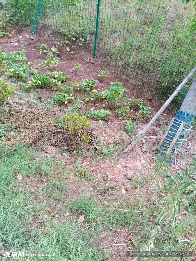 户外绿植种植场景