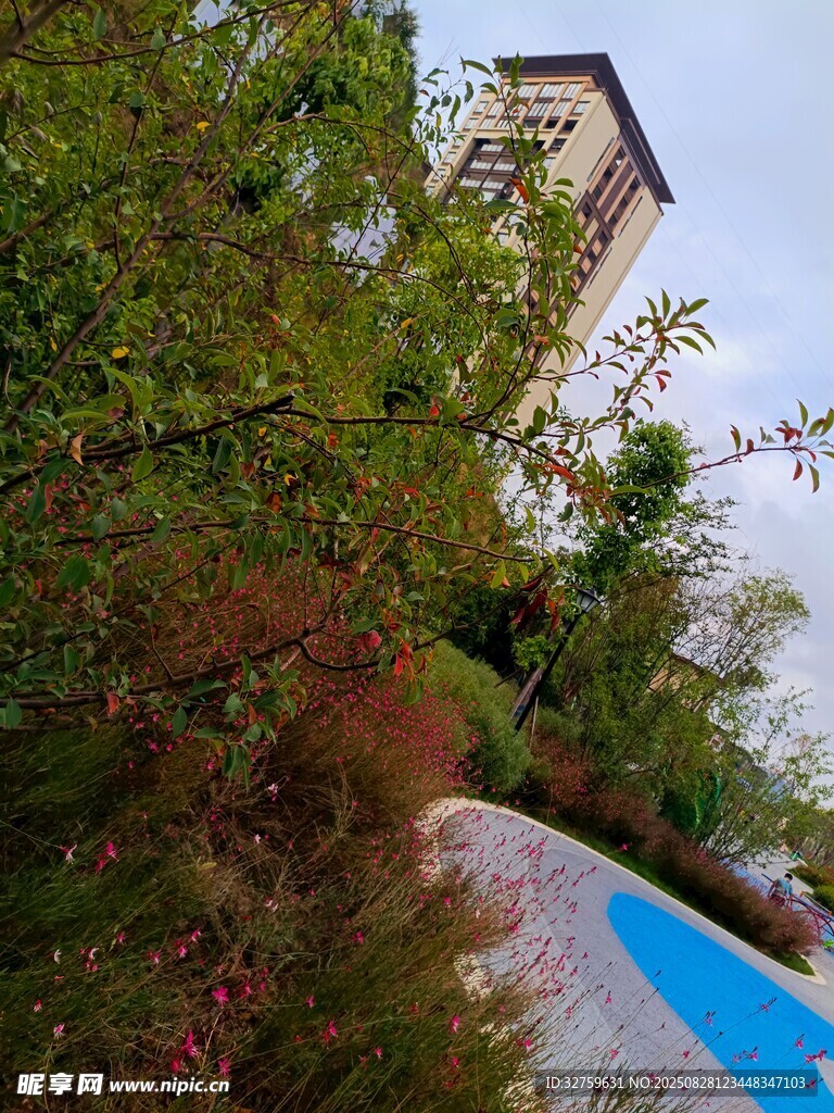 绿植环绕的泳池与建筑