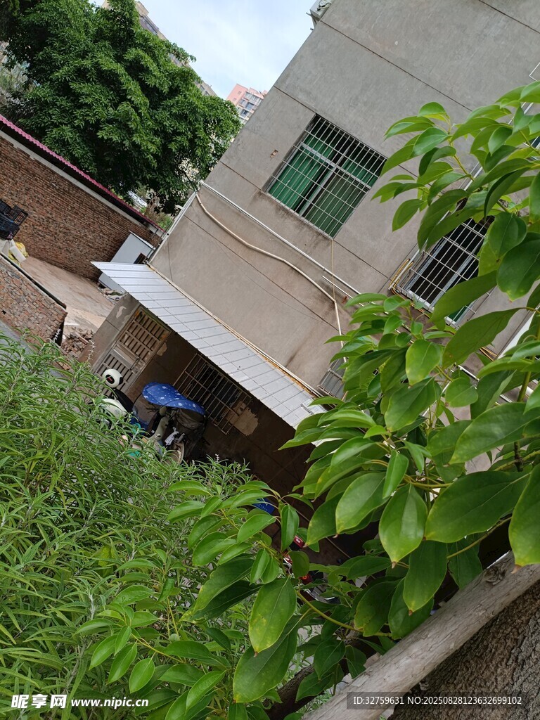 庭院绿植环绕的一角
