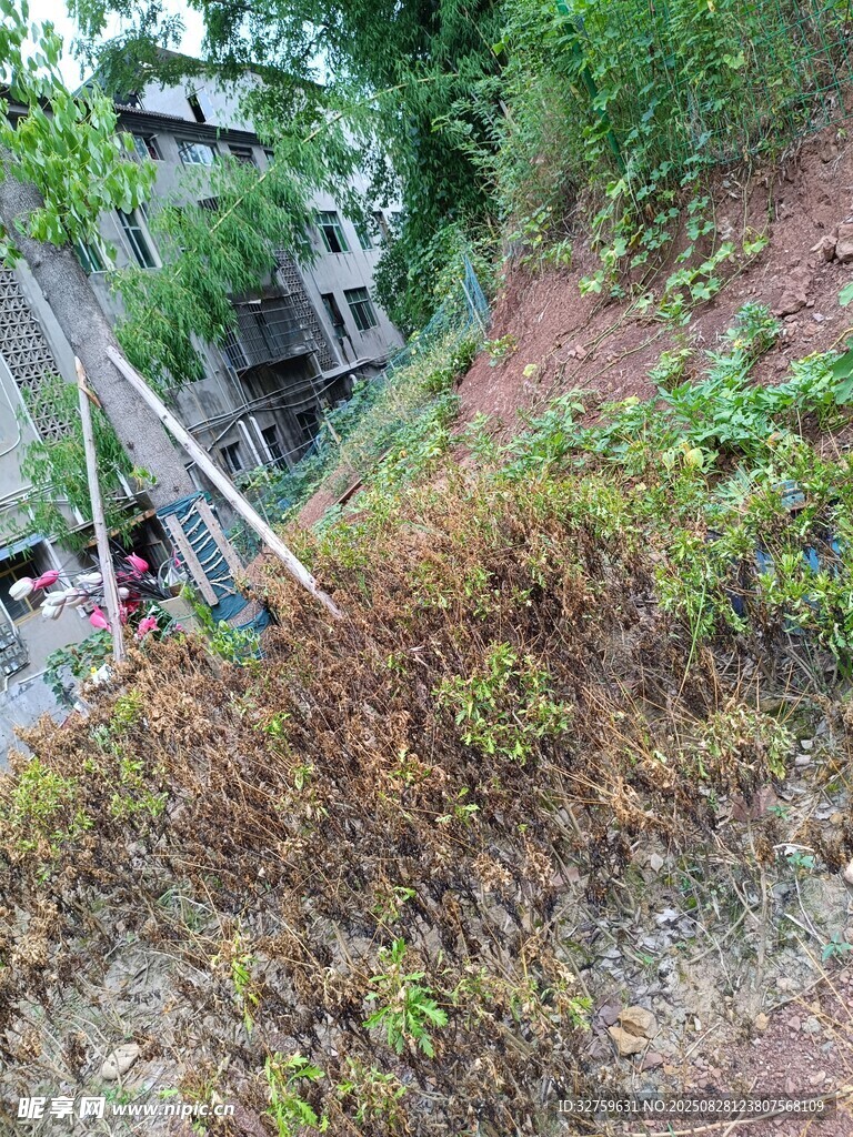 山坡绿植旁的建筑场景