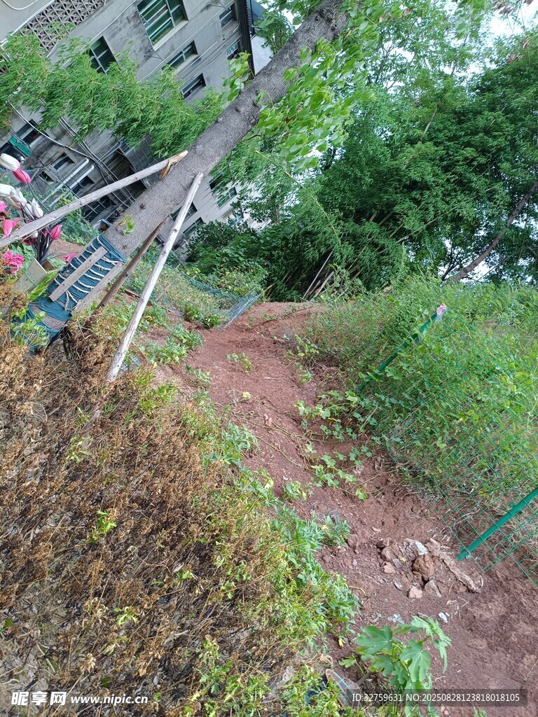 户外山坡绿植与建筑场景