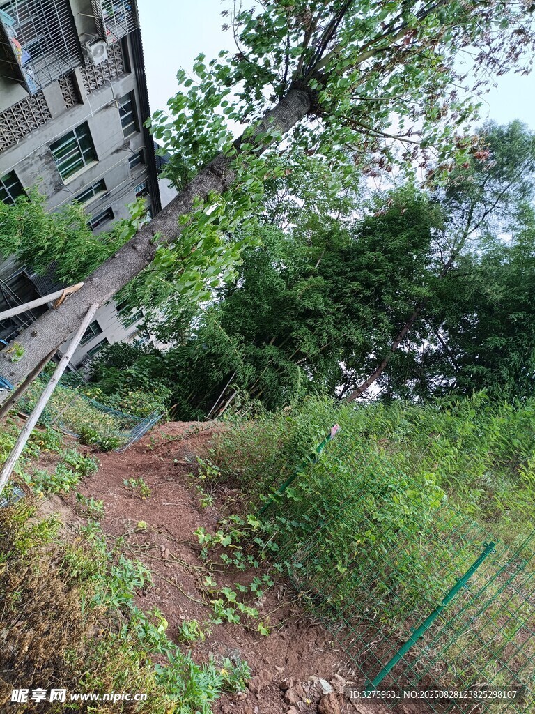 户外绿植环绕的建筑一角