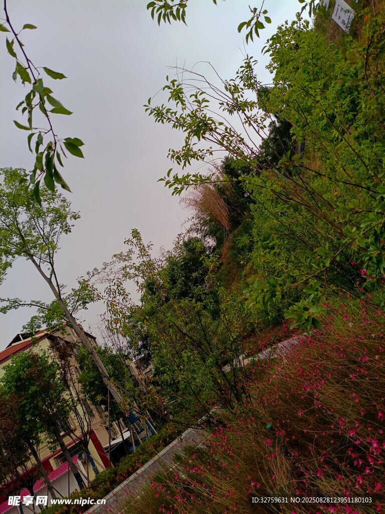 户外绿植景观一角