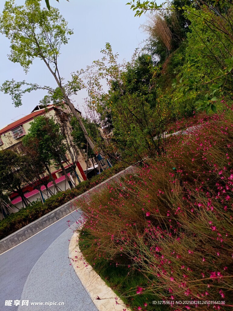 路边多彩植物与建筑景观