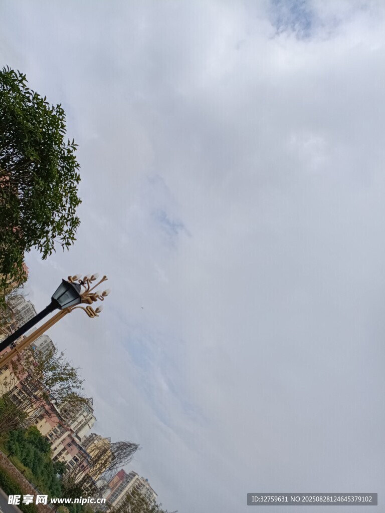 城市街景中的路灯与绿树