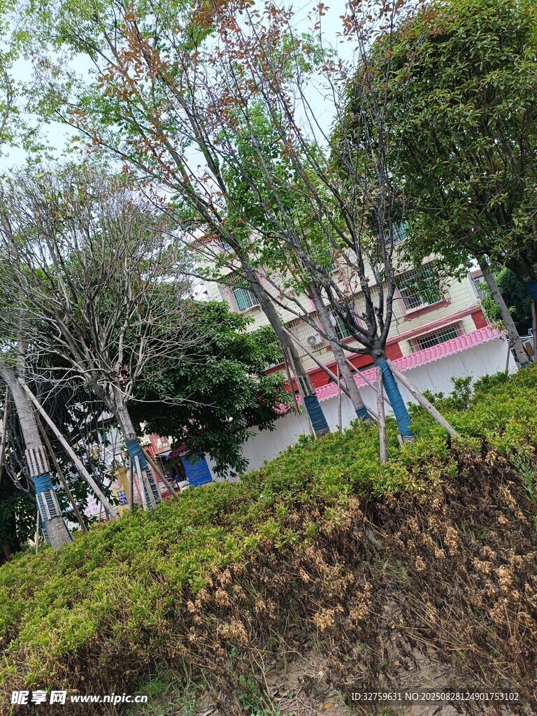 公园绿植旁的休闲场景