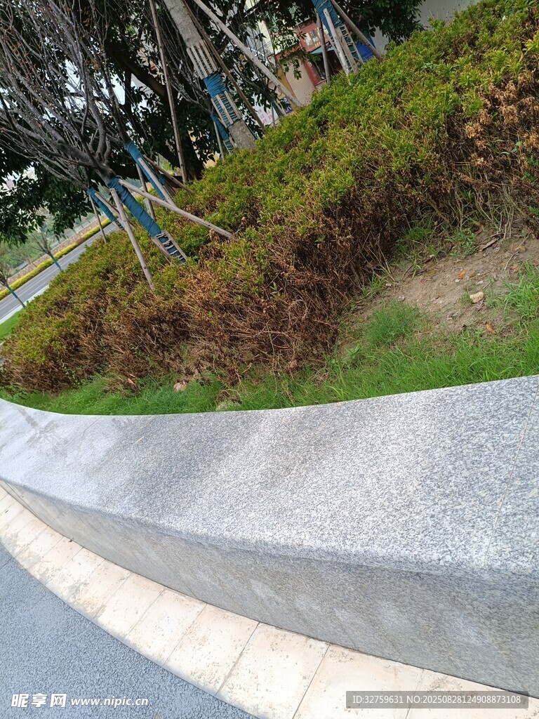 路边弧形石质景观