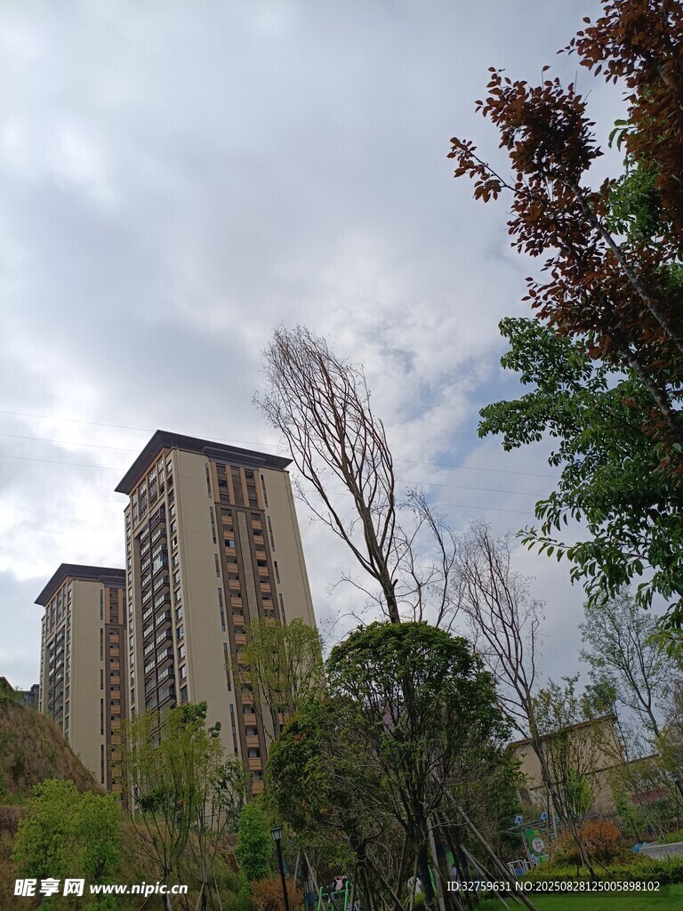 城市中的高楼与周边绿植