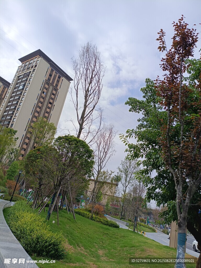 城市中的绿化景观与高楼