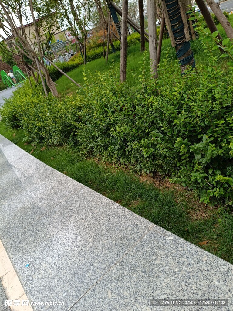 林间幽静步道