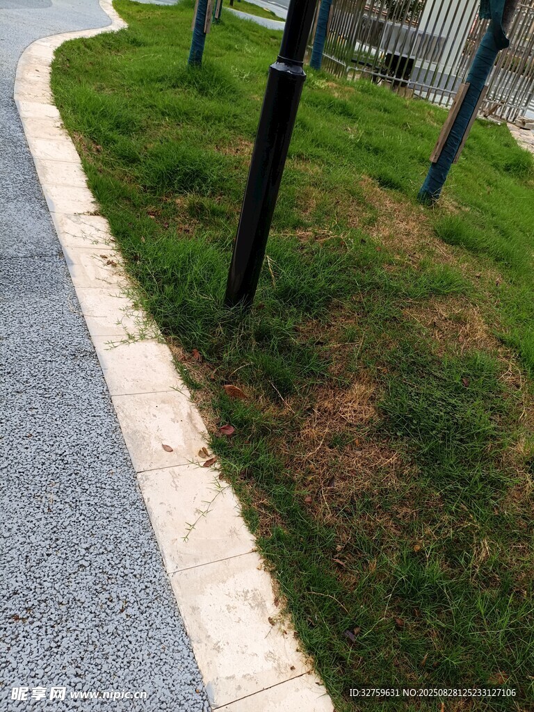 路边草地与黑色立柱景观