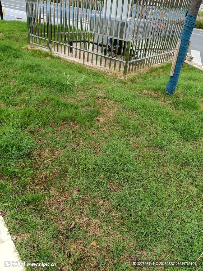 户外草地与围栏场景