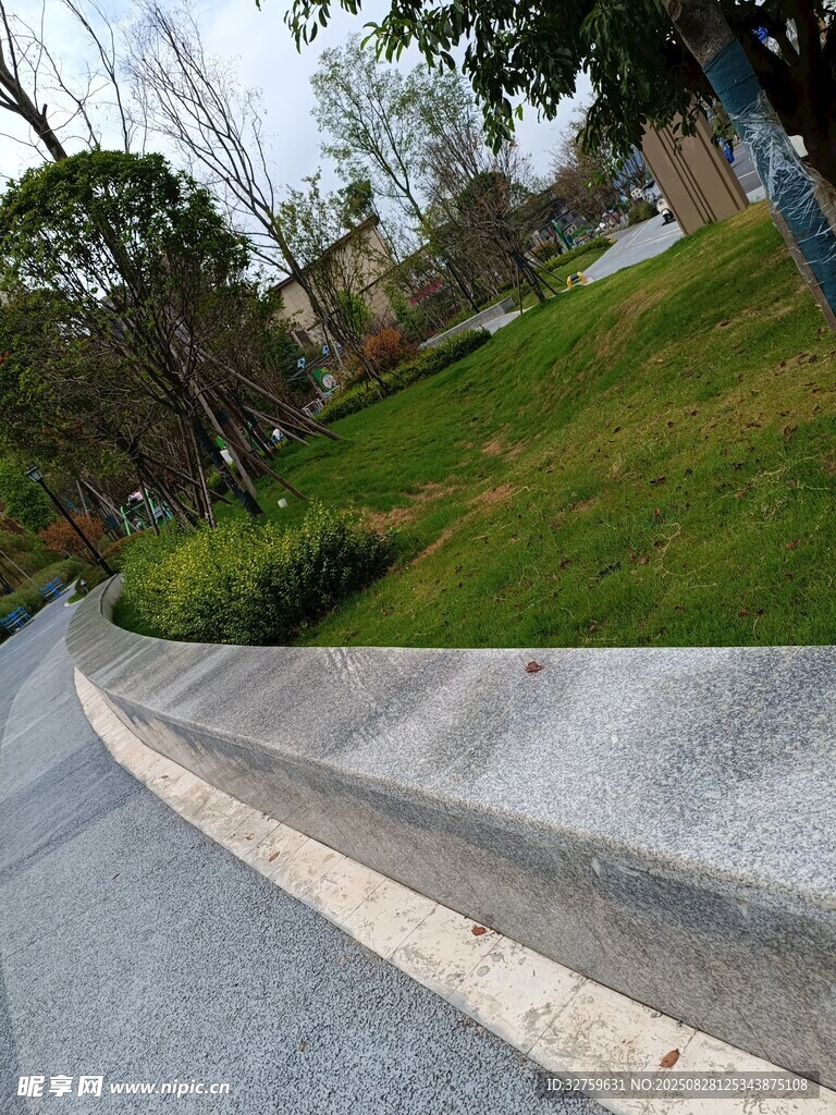 城市路边的绿化景观