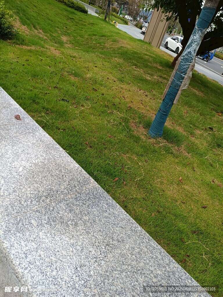 路边草地与灰色步道