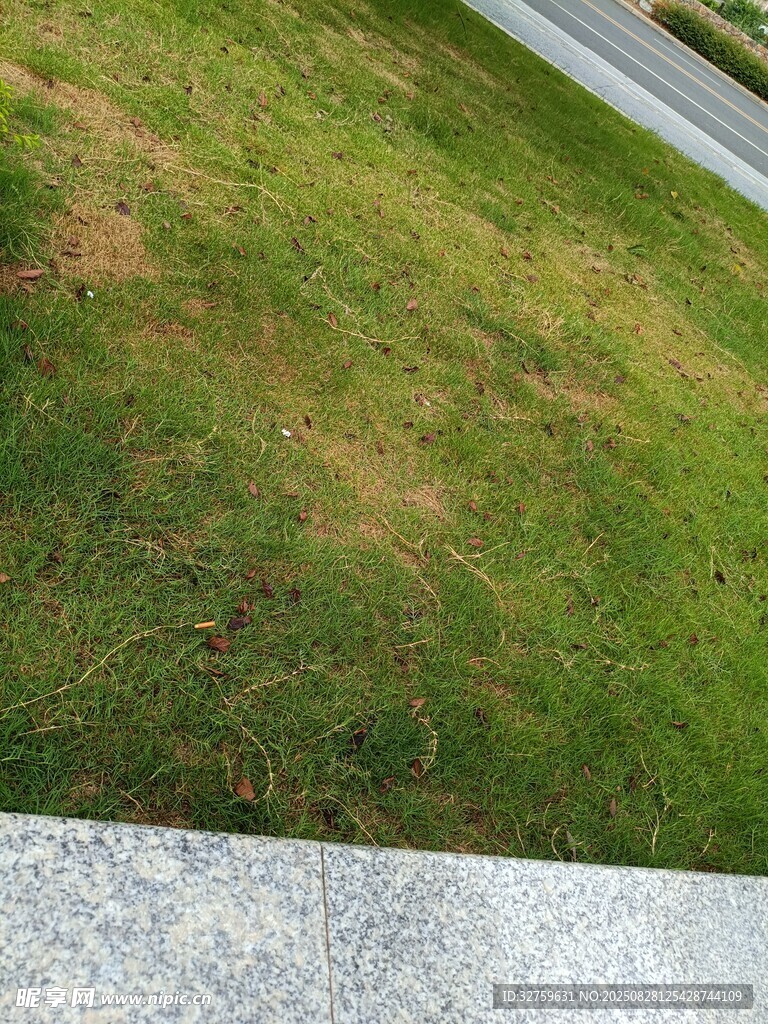 路边草地与石板景观