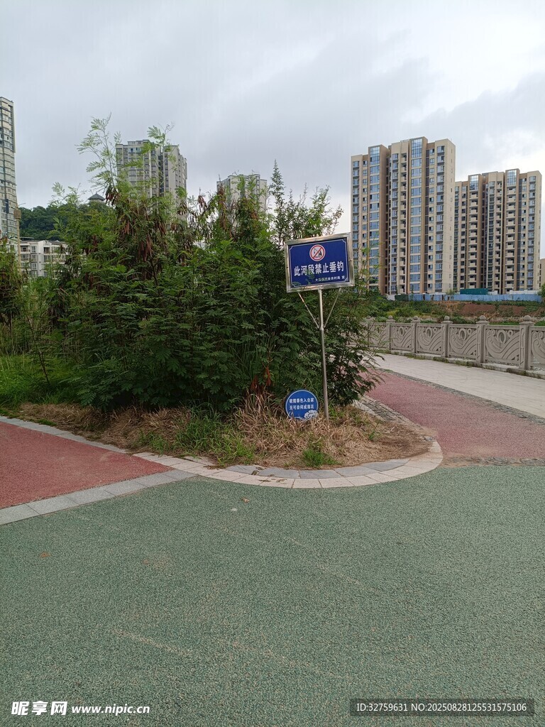 城市角落的绿植与道路设施