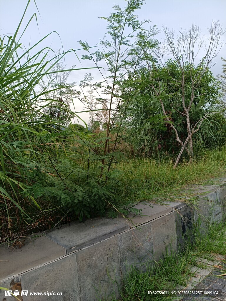 户外草地与石砌边界景观