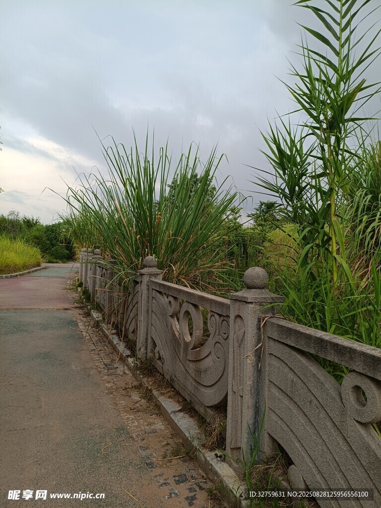 乡间小道旁的木质围栏风景