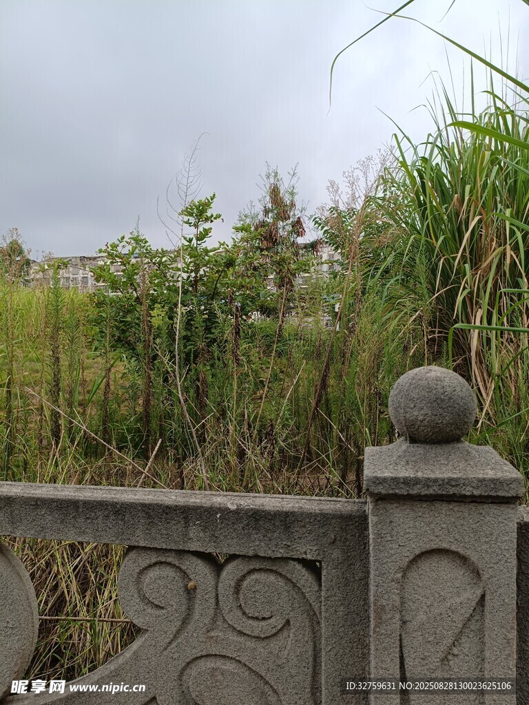 中式石栏旁的葱郁草木