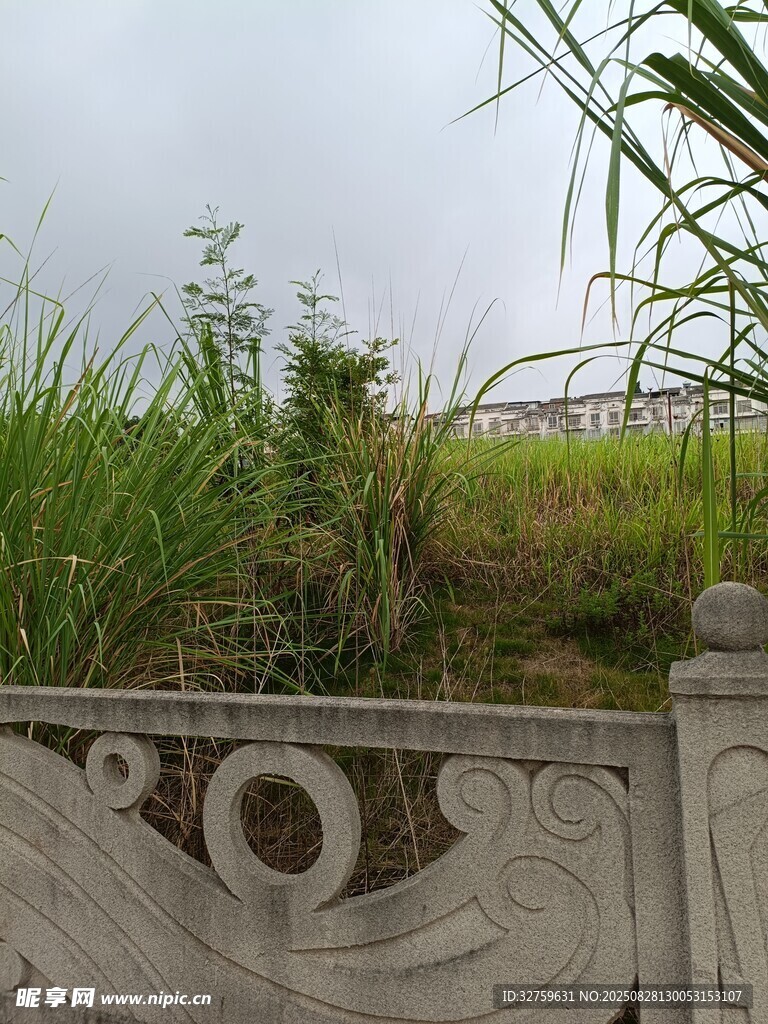 石栏旁的葱郁草地