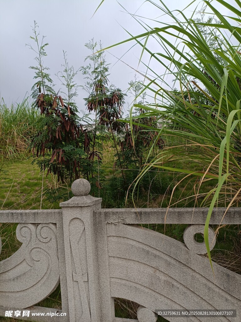 石栏旁的繁茂绿植