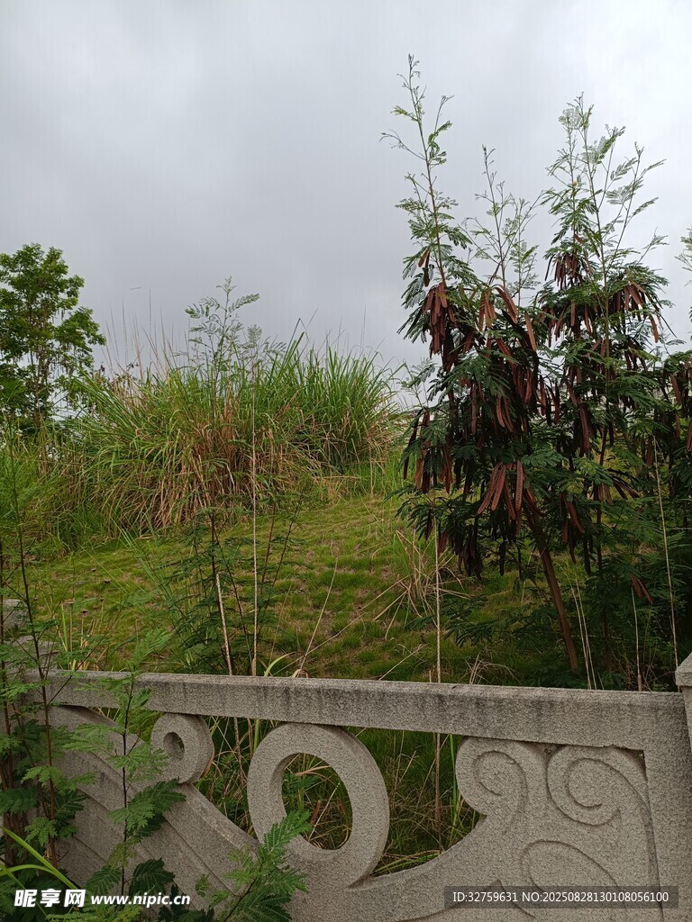 户外绿植与石质围栏景观
