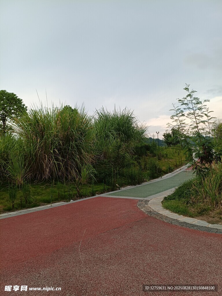 公园红色步道与绿植景观