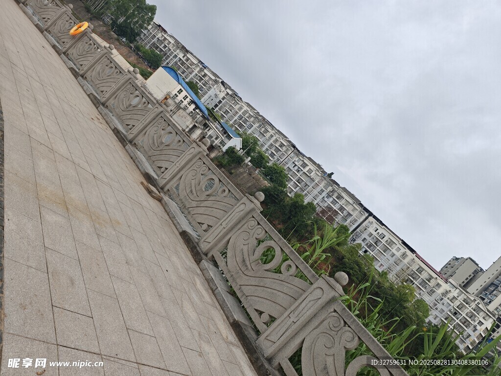 城市中的绿植景观带