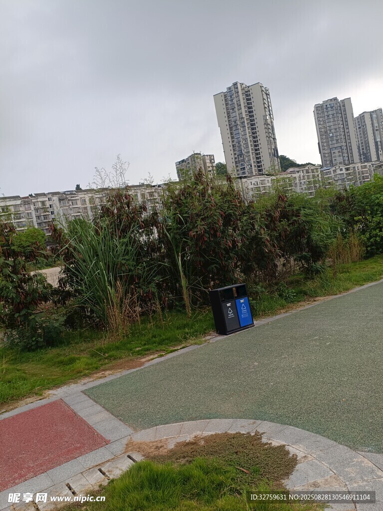城市公园中的休闲场景