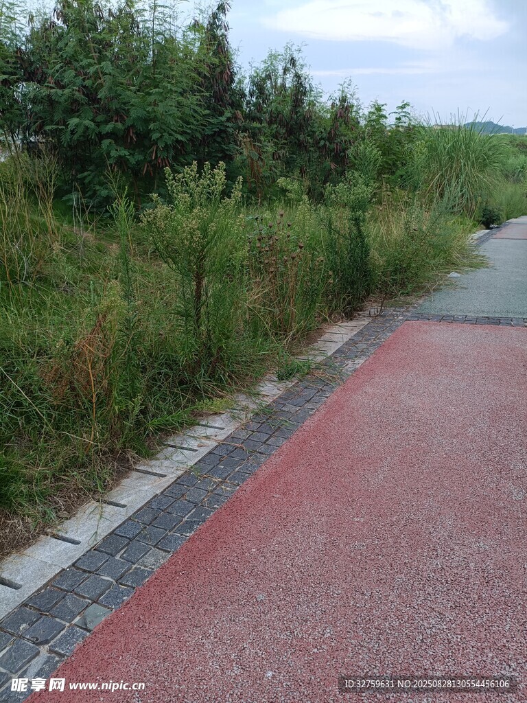红色步道旁的葱郁绿植