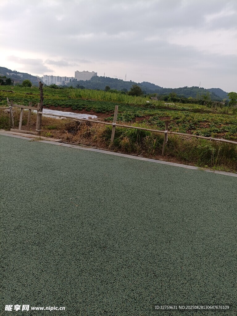 户外绿色路面与远山景色