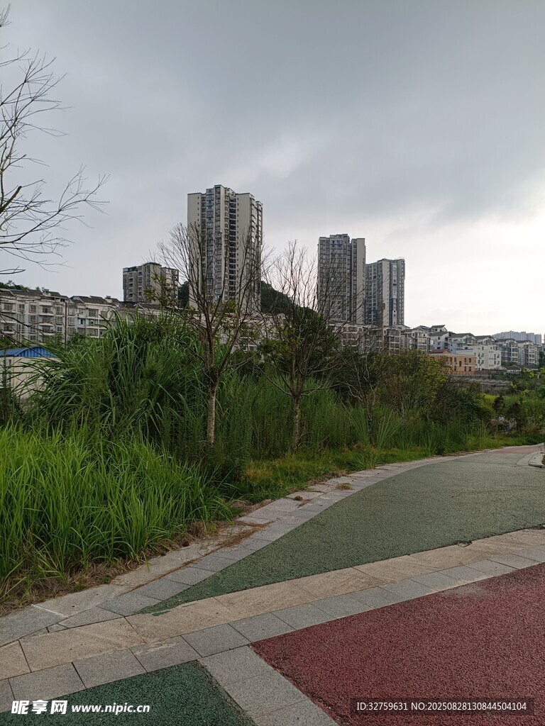 城市绿地旁的多彩步道