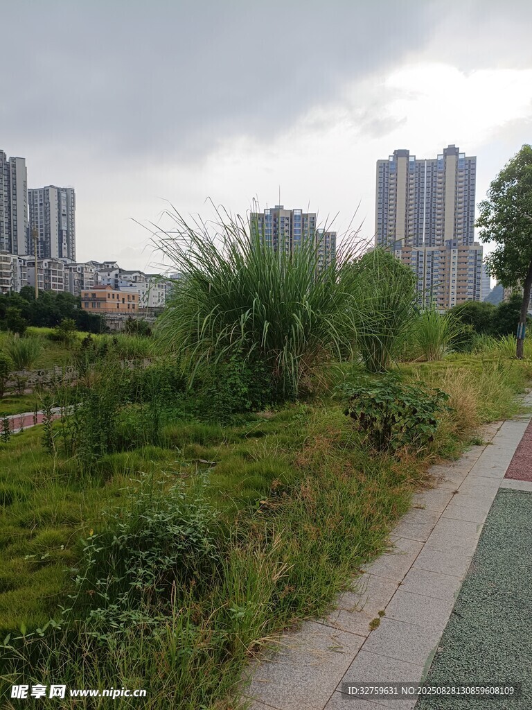 城市边缘的草地与步道景观