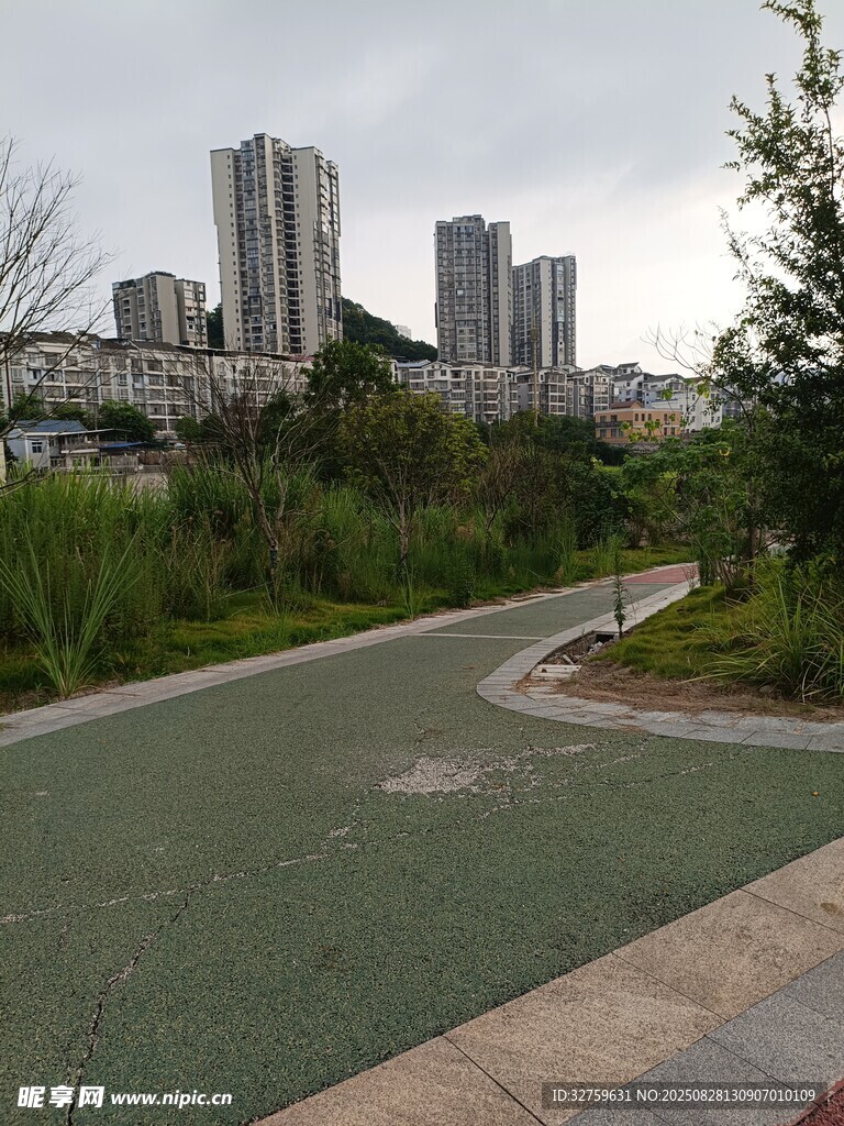 城市中的蜿蜒绿色步道