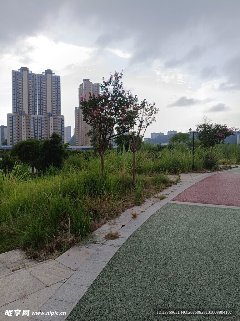城市绿地旁的多彩步道