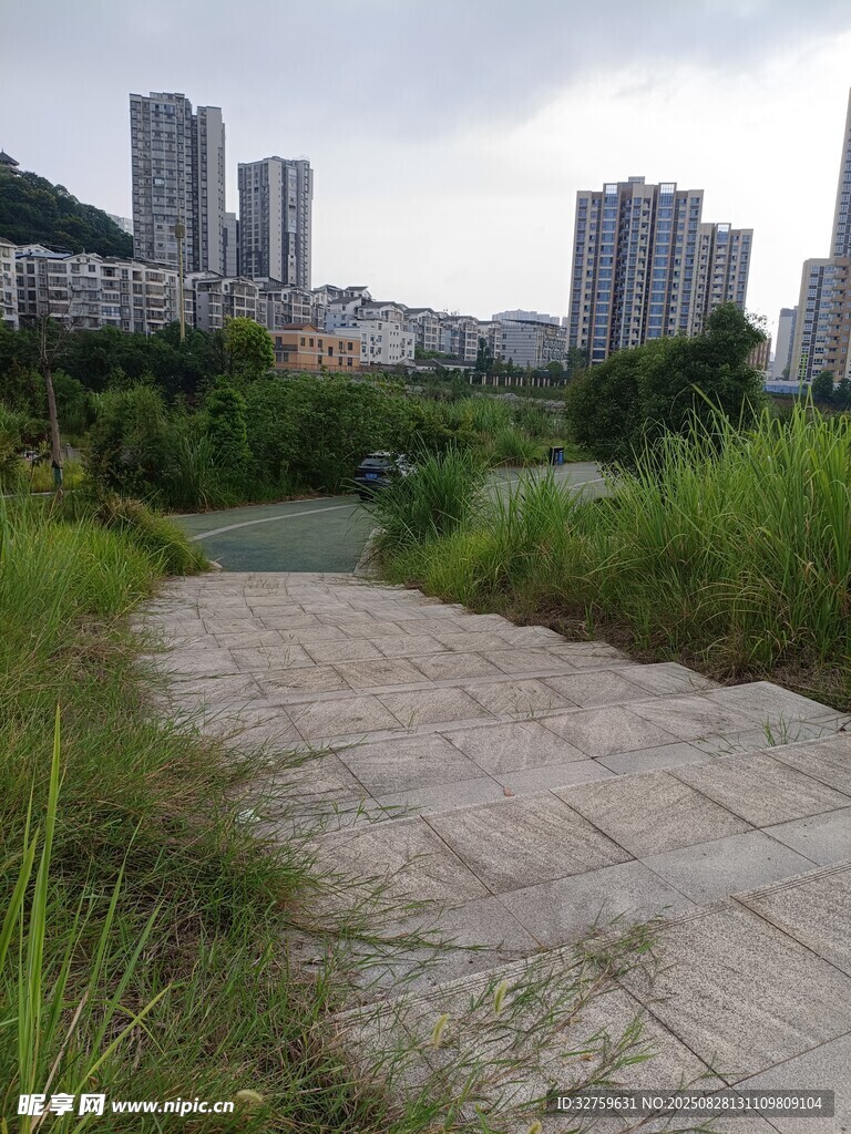 城市边的小径与绿植景观