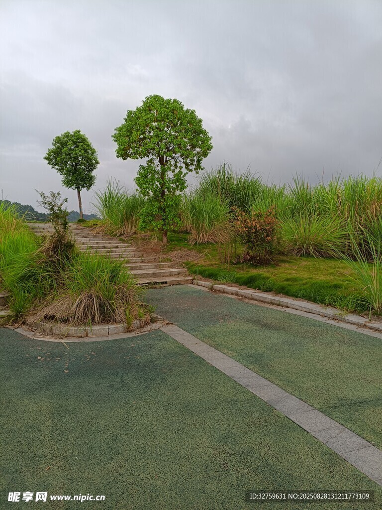 城市中的绿意步道景观
