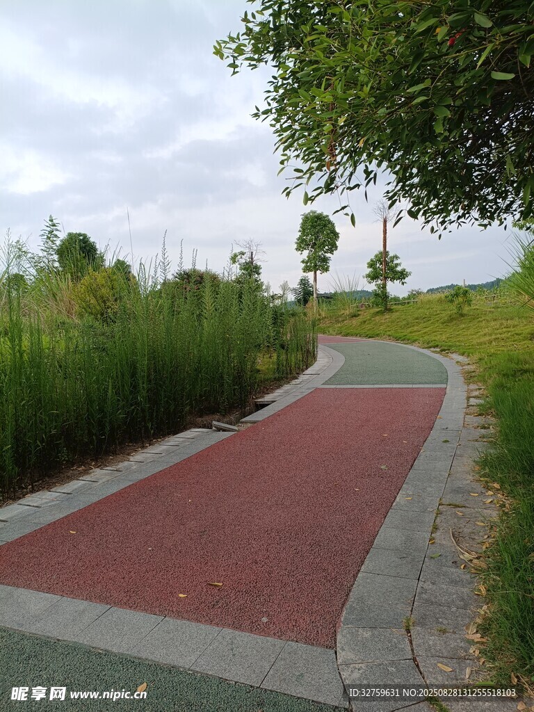 公园中的红色蜿蜒步道
