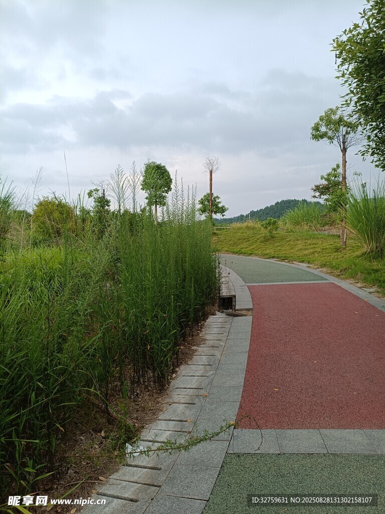 郊外彩色步道与绿植景观