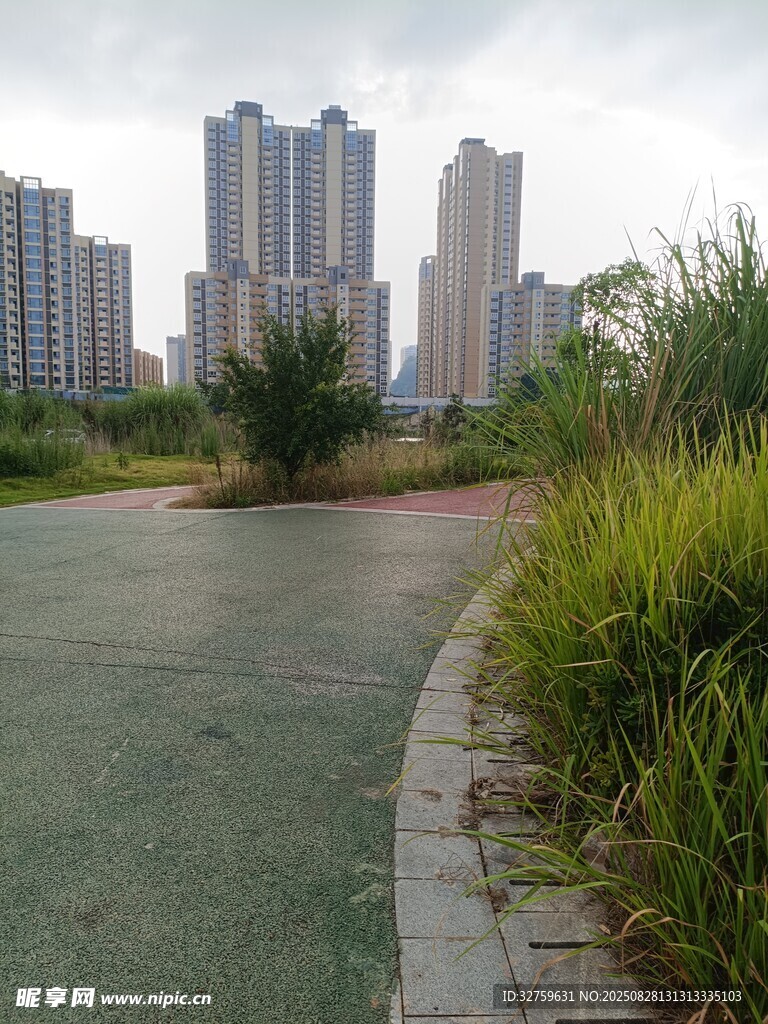 城市旁的绿地与蜿蜒小路